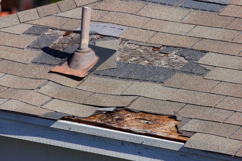 Damaged Shingle Replacement