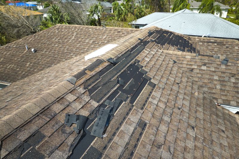 Roof Repair Final Result