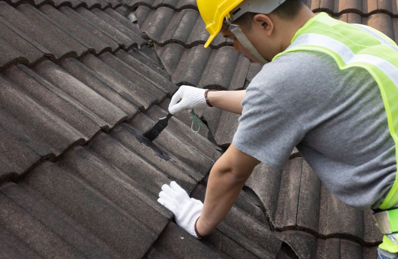 Professional Roofing Assistance